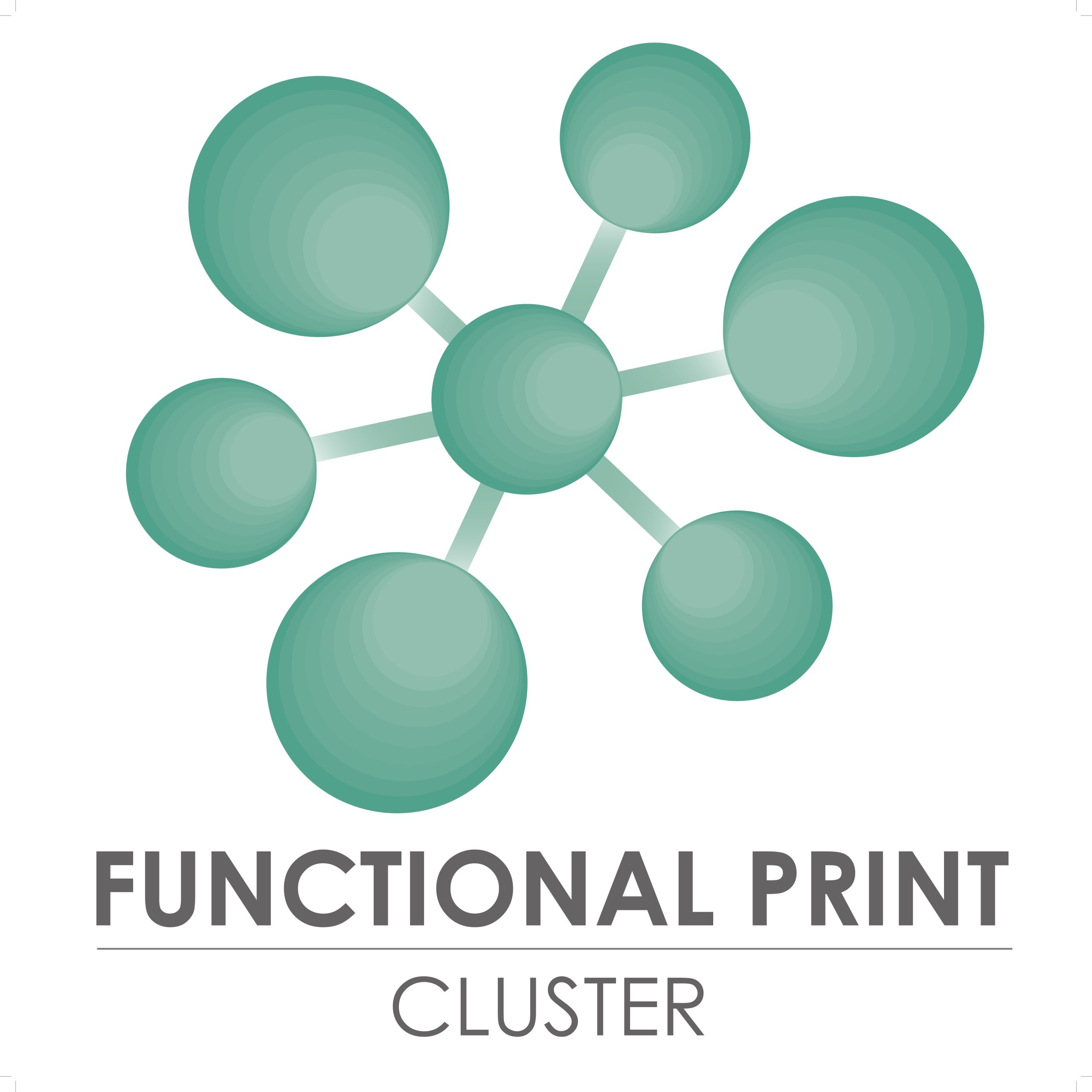 Functional Print Cluster